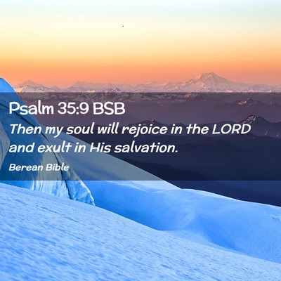 Picture 02 - Psalm 35:9 BSB - Then my soul will rejoice in the LORD and exult - Bible Verse Picture