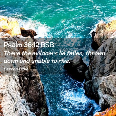 Picture 02 - Psalm 36:12 BSB - There the evildoers lie fallen, thrown down and - Bible Verse Picture