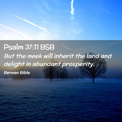 Picture 02 - Psalm 37:11 BSB - But the meek will inherit the land and delight in - Bible Verse Picture