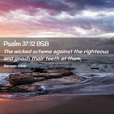 Picture 02 - Psalm 37:12 BSB - The wicked scheme against the righteous and gnash - Bible Verse Picture