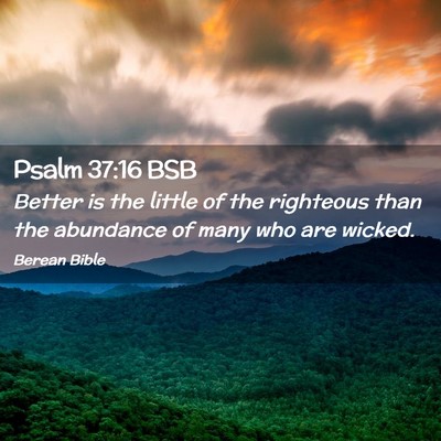 Picture 02 - Psalm 37:16 BSB - Better is the little of the righteous than the - Bible Verse Picture