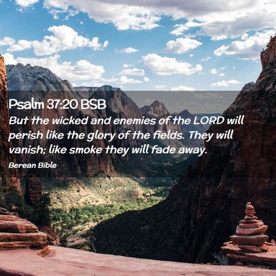 Picture 02 - Psalm 37:20 BSB - But the wicked and enemies of the LORD will - Bible Verse Picture