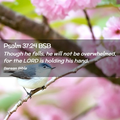 Picture 02 - Psalm 37:24 BSB - Though he falls, he will not be overwhelmed, for - Bible Verse Picture