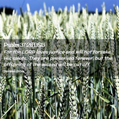 Picture 02 - Psalm 37:28 BSB - For the LORD loves justice and will not forsake - Bible Verse Picture