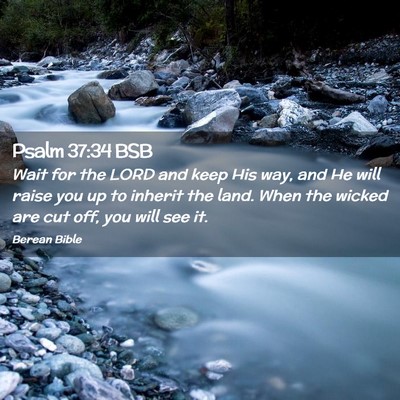 Picture 02 - Psalm 37:34 BSB - Wait for the LORD and keep His way, and He will - Bible Verse Picture