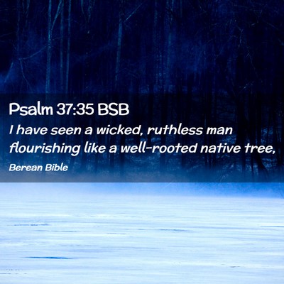 Picture 02 - Psalm 37:35 BSB - I have seen a wicked, ruthless man flourishing - Bible Verse Picture