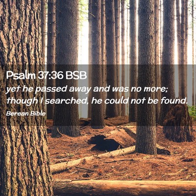 Picture 02 - Psalm 37:36 BSB - yet he passed away and was no more; though I - Bible Verse Picture