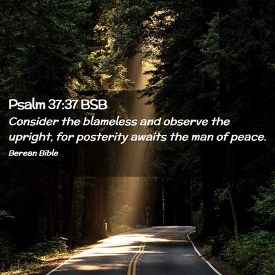 Picture 02 - Psalm 37:37 BSB - Consider the blameless and observe the upright, - Bible Verse Picture