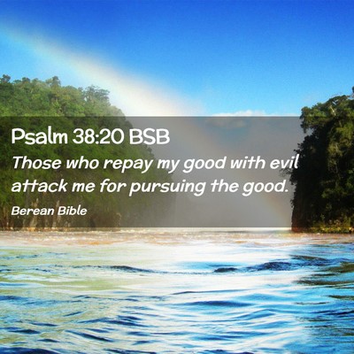 Picture 02 - Psalm 38:20 BSB - Those who repay my good with evil attack me for - Bible Verse Picture