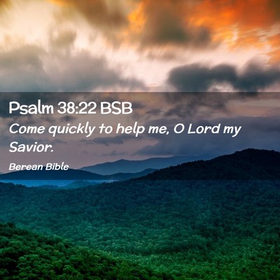 Picture 02 - Psalm 38:22 BSB - Come quickly to help me, O Lord my - Bible Verse Picture