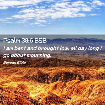 Picture 02 - Psalm 38:6 BSB - I am bent and brought low; all day long I go - Bible Verse Picture