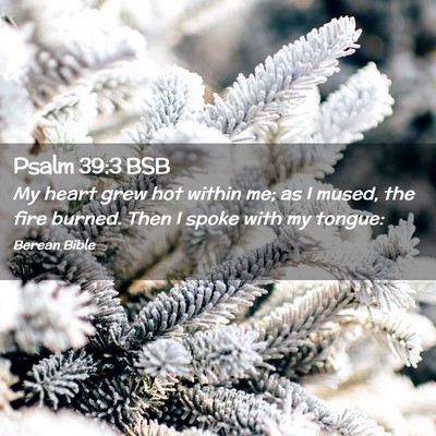 Picture 02 - Psalm 39:3 BSB - My heart grew hot within me; as I mused, the fire - Bible Verse Picture