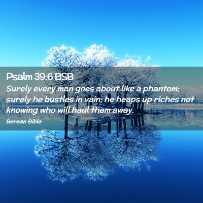 Picture 02 - Psalm 39:6 BSB - Surely every man goes about like a phantom; - Bible Verse Picture