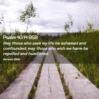 Picture 02 - Psalm 40:14 BSB - May those who seek my life be ashamed and - Bible Verse Picture