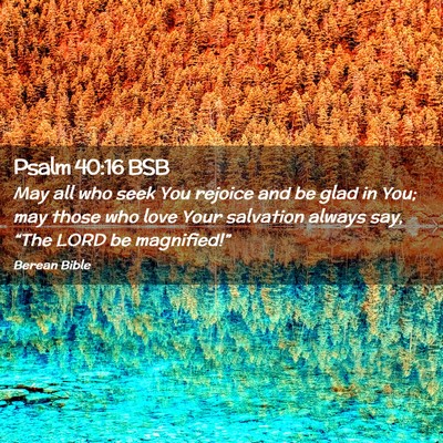 Picture 02 - Psalm 40:16 BSB - May all who seek You rejoice and be glad in You; - Bible Verse Picture