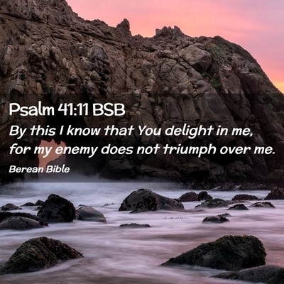 Picture 02 - Psalm 41:11 BSB - By this I know that You delight in me, for my - Bible Verse Picture