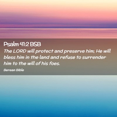 Picture 02 - Psalm 41:2 BSB - The LORD will protect and preserve him; He will - Bible Verse Picture