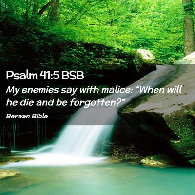 Picture 02 - Psalm 41:5 BSB - My enemies say with malice: “When will he die - Bible Verse Picture