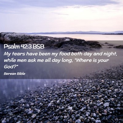 Picture 02 - Psalm 42:3 BSB - My tears have been my food both day and night, - Bible Verse Picture