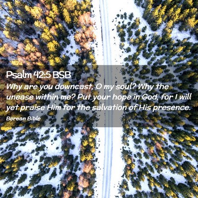 Picture 02 - Psalm 42:5 BSB - Why are you downcast, O my soul? Why the unease - Bible Verse Picture