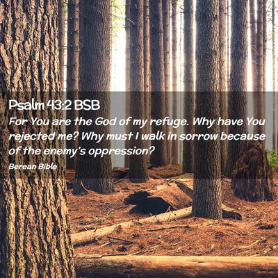 Picture 02 - Psalm 43:2 BSB - For You are the God of my refuge. Why have You - Bible Verse Picture