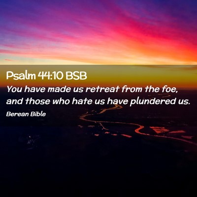 Picture 02 - Psalm 44:10 BSB - You have made us retreat from the foe, and those - Bible Verse Picture