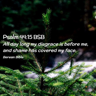 Picture 02 - Psalm 44:15 BSB - All day long my disgrace is before me, and shame - Bible Verse Picture