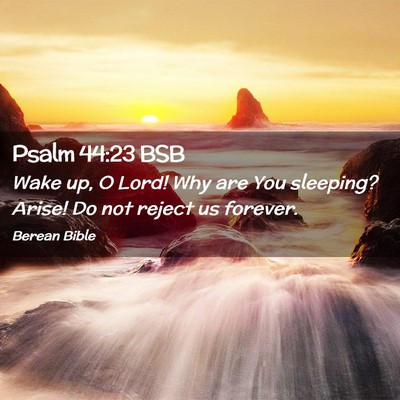 Picture 02 - Psalm 44:23 BSB - Wake up, O Lord! Why are You sleeping? Arise! Do - Bible Verse Picture