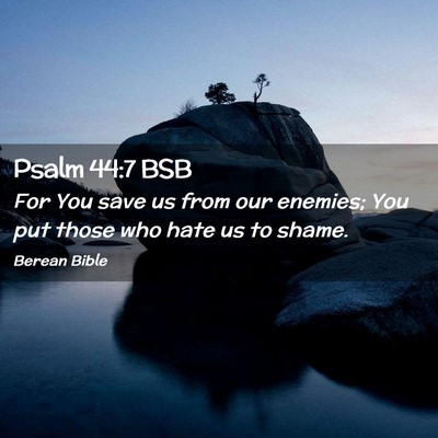 Picture 02 - Psalm 44:7 BSB - For You save us from our enemies; You put those - Bible Verse Picture