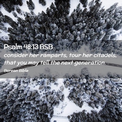 Picture 02 - Psalm 48:13 BSB - consider her ramparts, tour her citadels, that - Bible Verse Picture