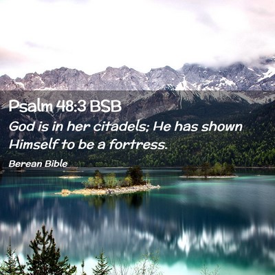 Picture 02 - Psalm 48:3 BSB - God is in her citadels; He has shown Himself to - Bible Verse Picture