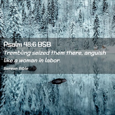 Picture 02 - Psalm 48:6 BSB - Trembling seized them there, anguish like a woman - Bible Verse Picture