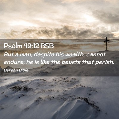 Picture 02 - Psalm 49:12 BSB - But a man, despite his wealth, cannot endure; he - Bible Verse Picture