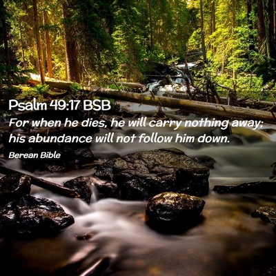 Picture 02 - Psalm 49:17 BSB - For when he dies, he will carry nothing away; his - Bible Verse Picture