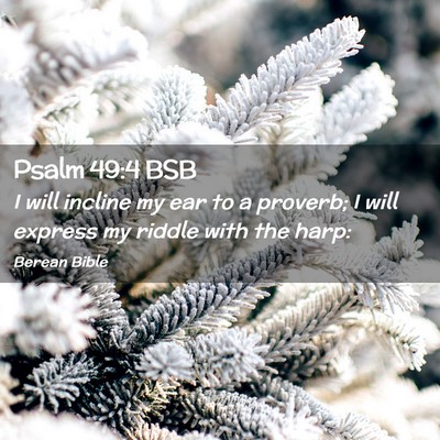 Picture 02 - Psalm 49:4 BSB - I will incline my ear to a proverb; I will - Bible Verse Picture