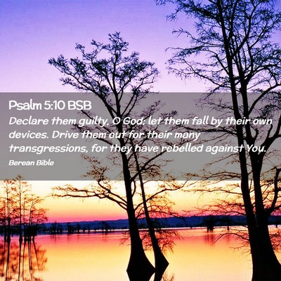 Picture 02 - Psalm 5:10 BSB - Declare them guilty, O God; let them fall by - Bible Verse Picture