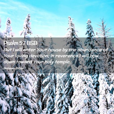 Picture 02 - Psalm 5:7 BSB - But I will enter Your house by the abundance of - Bible Verse Picture