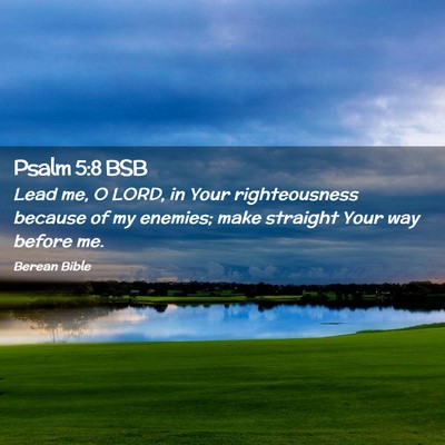 Picture 02 - Psalm 5:8 BSB - Lead me, O LORD, in Your righteousness because of - Bible Verse Picture