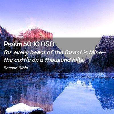 Picture 02 - Psalm 50:10 BSB - for every beast of the forest is Mine—the - Bible Verse Picture