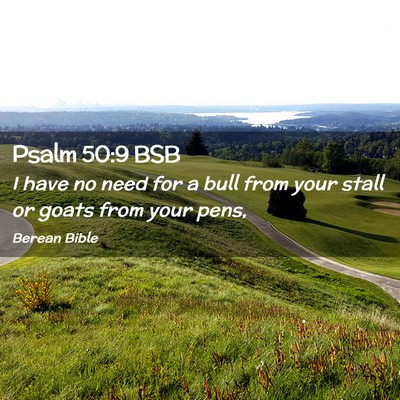 Picture 02 - Psalm 50:9 BSB - I have no need for a bull from your stall or - Bible Verse Picture