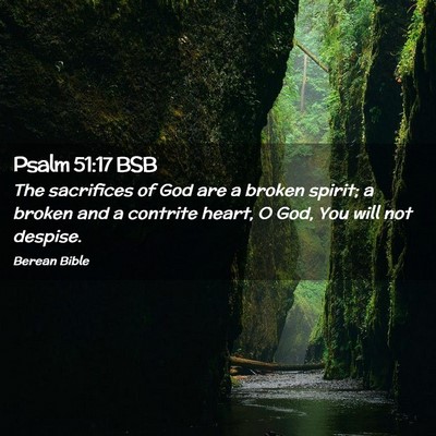 Picture 02 - Psalm 51:17 BSB - The sacrifices of God are a broken spirit; a - Bible Verse Picture
