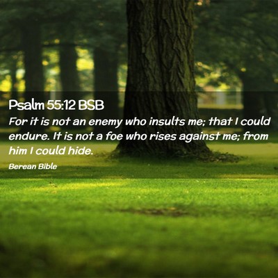 Picture 02 - Psalm 55:12 BSB - For it is not an enemy who insults me; that I - Bible Verse Picture