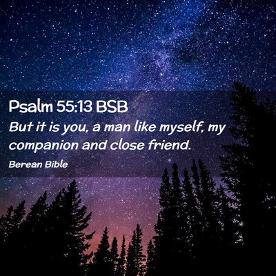 Picture 02 - Psalm 55:13 BSB - But it is you, a man like myself, my companion - Bible Verse Picture
