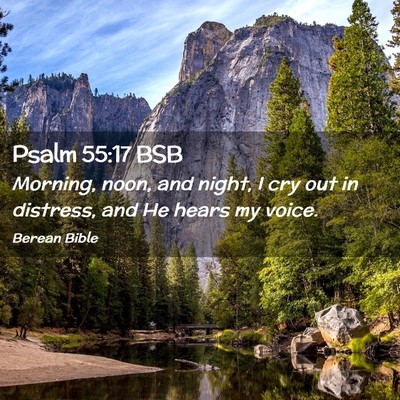 Picture 02 - Psalm 55:17 BSB - Morning, noon, and night, I cry out in distress, - Bible Verse Picture