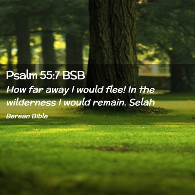 Picture 02 - Psalm 55:7 BSB - How far away I would flee! In the wilderness I - Bible Verse Picture