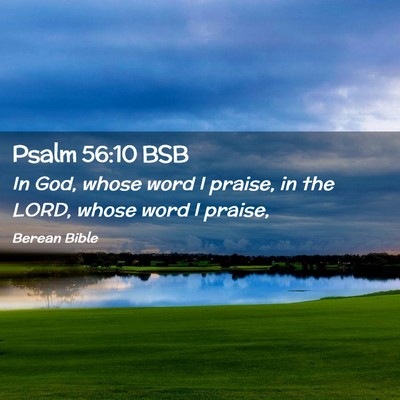 Picture 02 - Psalm 56:10 BSB - In God, whose word I praise, in the LORD, whose - Bible Verse Picture