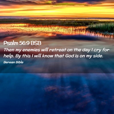 Picture 02 - Psalm 56:9 BSB - Then my enemies will retreat on the day I cry for - Bible Verse Picture