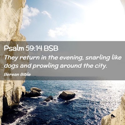 Picture 02 - Psalm 59:14 BSB - They return in the evening, snarling like dogs - Bible Verse Picture