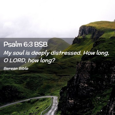 Picture 02 - Psalm 6:3 BSB - My soul is deeply distressed. How long, O LORD, - Bible Verse Picture