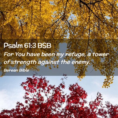Picture 02 - Psalm 61:3 BSB - For You have been my refuge, a tower of strength - Bible Verse Picture